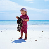 Kind untersucht Seetang am Strand
