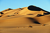 Sanddünen in der Wüste