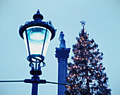 Nelsons Column, Street Light, And Christmas Tree