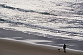 Silhouetted Person Walking Dog Along The Beach