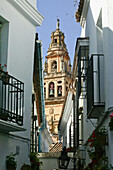 Cathedral And Whitewashed Buildings