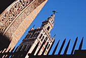 Seville Cathedral And Fence