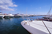 Yachts In Palma Marina, Mallorca
