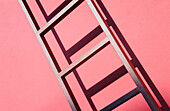 Ladder Leaning Against Red Building