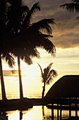 Schwimmbad und Palmen bei Sonnenuntergang an der Küste