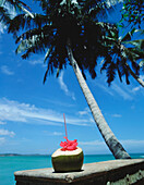 Cocktail In A Coconut Under Palm Trees Beside Ocean