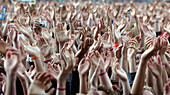 Eine Gruppe von Musikfans winkt mit den Händen