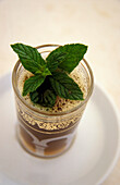Mint Leaves In Mint Tea, Close Up