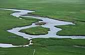 Streams Winding Through Green Grass, Aerial View