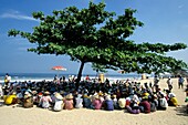 Traders Hold Meeting In The Shade In A Tree On Beach