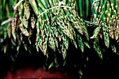 Bundles Of Asparagus, Close Up