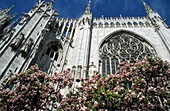 Milan's Duomo And Flowers, Low Angle View