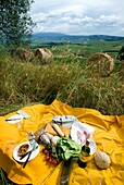 Auf einer Decke ausgebreitetes Essen für ein italienisches Picknick auf den toskanischen Feldern