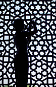 Silhouette Of Tourist Taking Photographs Next To Stone Grill In Humayun's Tomb, Close Up
