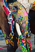 Decorated Elephant In Gangaur Festival Procession, Close-Up