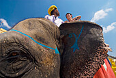 Mahout und Tourist auf Elefant im Amber Fort