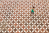 Woman Photographing The Taj Mahal, Aerial View