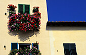 House With Flowers On Balcony, Close Up