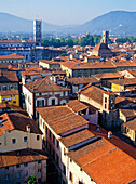 Dächer von Lucca, Luftaufnahme