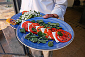 Man Holding Plate Of Cheese, Tomato, And Thyme Salad\Man Holding Tomato, Thyme, And Cheese Salad