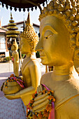 Buddha-Statue im Tempel.