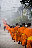 Novice Monks Out Collecting Alms At Dawn.