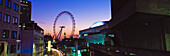 London Eye in der Abenddämmerung