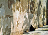 Djelleba tragende Frau sitzt im Schatten an der Wand