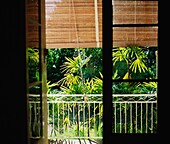 Blick aus dem Fenster in Richtung Vegetation und Balkon