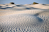 Sanddünen in der Sahara-Wüste bei Douz
