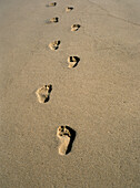 Fußabdrücke am Strand, Nahaufnahme