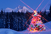 Geschmückter Weihnachtsbaum @ Chugach Np Sc Alaska