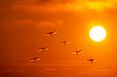 Schwäne fliegen bei Sonnenuntergang Komposit