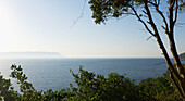 Blick auf das Meer und den Horizont vom Ufer aus; Insel Skopelos, Griechenland