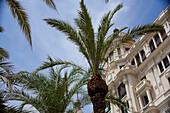 A building in classical mediterranean architecture and palm trees; Alicante spain