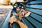 Fallen autumn coloured leaves on a park bench in St. James's Park; London England