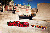 Poppies on a memorial Horse Guards Parade; London England