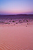 Sunset Over Sand Dune Landscape; Liwa Oasis, Abu Dhabi, United Arab Emirates