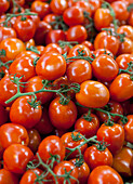 Tomaten zum Verkauf auf dem Borough Market; London, England