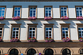 Ein Gebäude mit Fenstern, die jeweils einen blühenden Pflanzkübel haben; Luxemburg-Stadt, Luxemburg