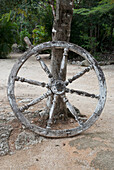 Old Wooden Ship Wheel; Tulum, Mexico