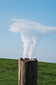 Ein Holzpfosten und ein Stacheldraht mit einer Wolkenformation, die von der Spitze des Holzes zu kommen scheint; Deutschland