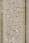 Abblätternde Farbe an einer alten Tür; Martina Franca, Apulien, Italien
