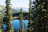 Ein ruhiger blauer See, umgeben von Wäldern und den Rocky Mountains im Banff National Park; Alberta, Kanada