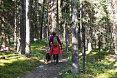 Wanderung auf einem Pfad im Banff-Nationalpark; Alberta, Kanada