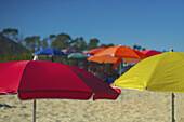 Colourful Umbrellas On The Beach With A Blue Sky; Sardinia, Italy