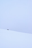 Zwei Personen wandern bei schneebedecktem Grat und winterlichen Bedingungen am Beinn An Dothaidh in der Nähe von Bridge Of Orchy; Argyll und Bute, Schottland