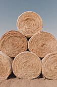 Stacked wrapped round hay bales in a field after harvest. 