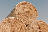 Stacked wrapped round hay bales in a field after harvest. 