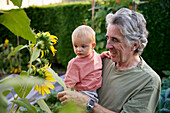 Großvater mit Kleinkind betrachtet gemeinsam Sonnenblumen im Garten